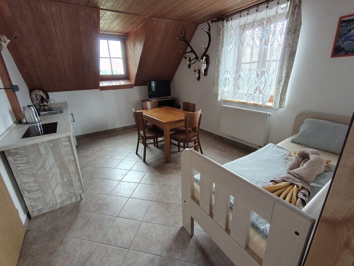 Lovecký apartmán – obytná místnost s kuchyňkou